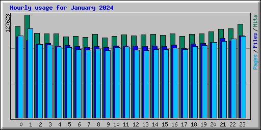 Hourly usage for January 2024