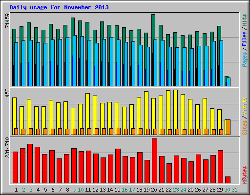 Daily usage for November 2013