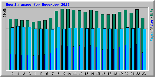 Hourly usage for November 2013