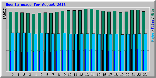 Hourly usage for August 2018