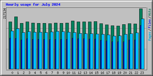 Hourly usage for July 2024